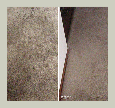 carpet cleaning before-and after
